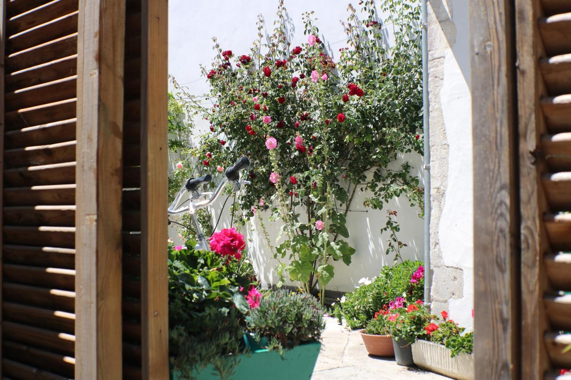 Beau T3 *** Pour 2 A 4 Pers Avec Patio Privatif Apartment La Couarde sur Mer Bagian luar foto